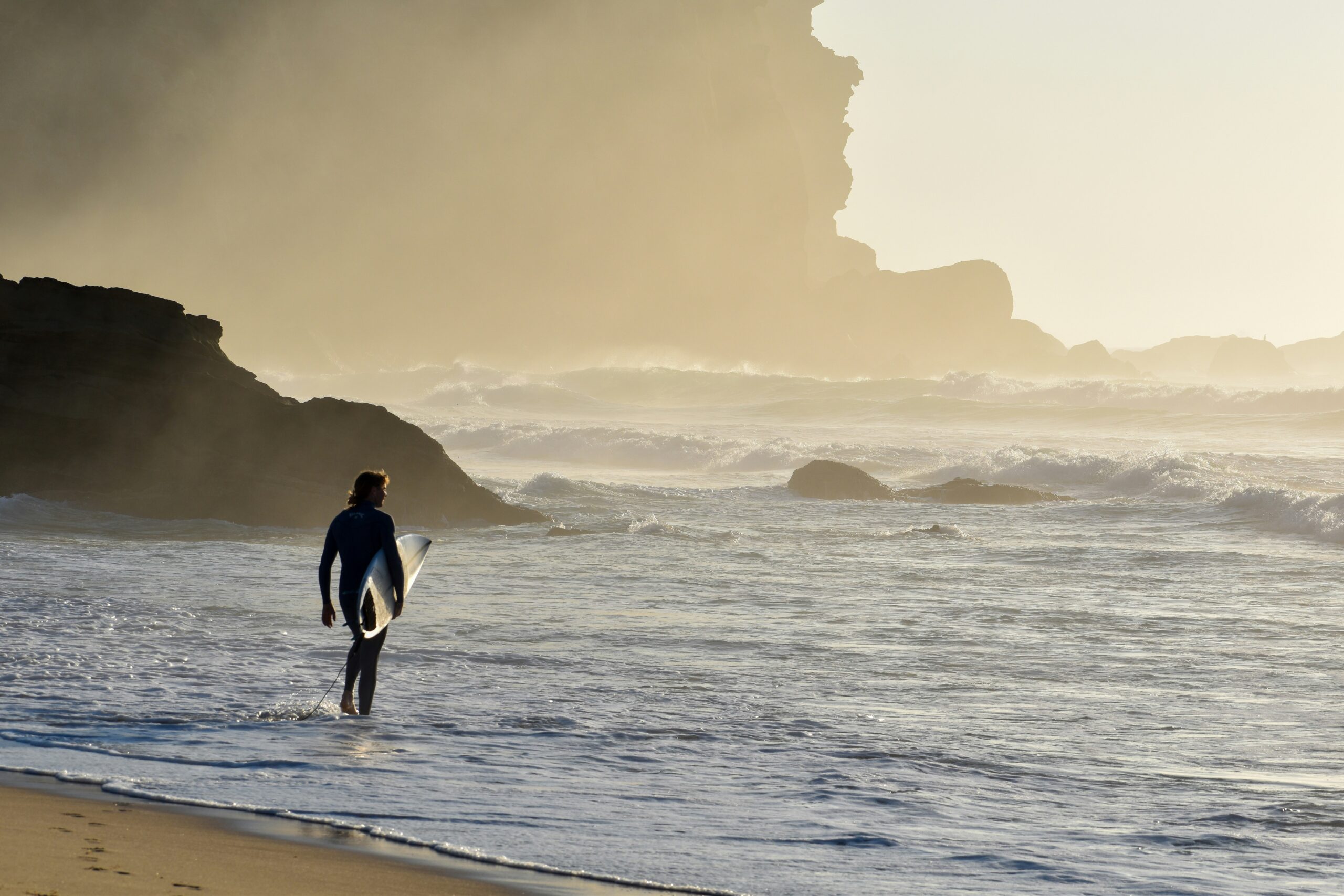 Choosing the Best Platform: Stan Store, Whop, and Gumroad Compared